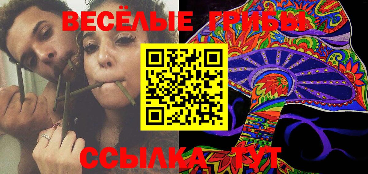 Прохладный  Псилоцибиновые грибы Magic Shrooms  Вход с VPN 